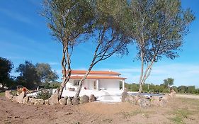 Casa Vacanze Olbia - Alebea -