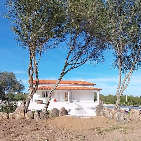 Casa Vacanze Olbia - Alebea - Buitenkant foto