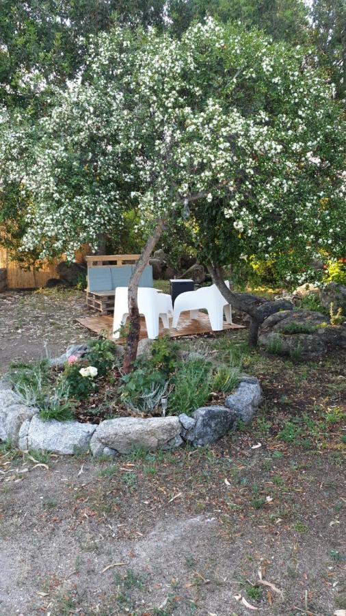 Casa Vacanze Olbia - Alebea - Buitenkant foto